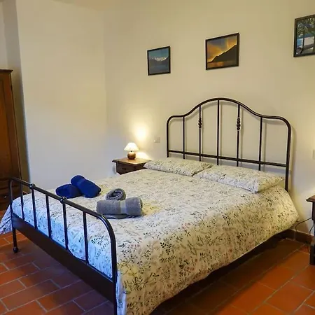 Secluded Front With Boat Villa Valsolda